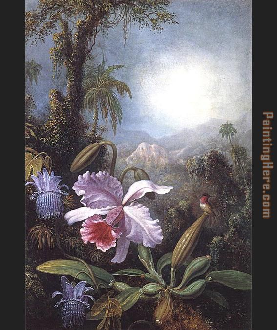 Orchids Passion Flowers and Hummingbird painting - Martin Johnson Heade Orchids Passion Flowers and Hummingbird art painting